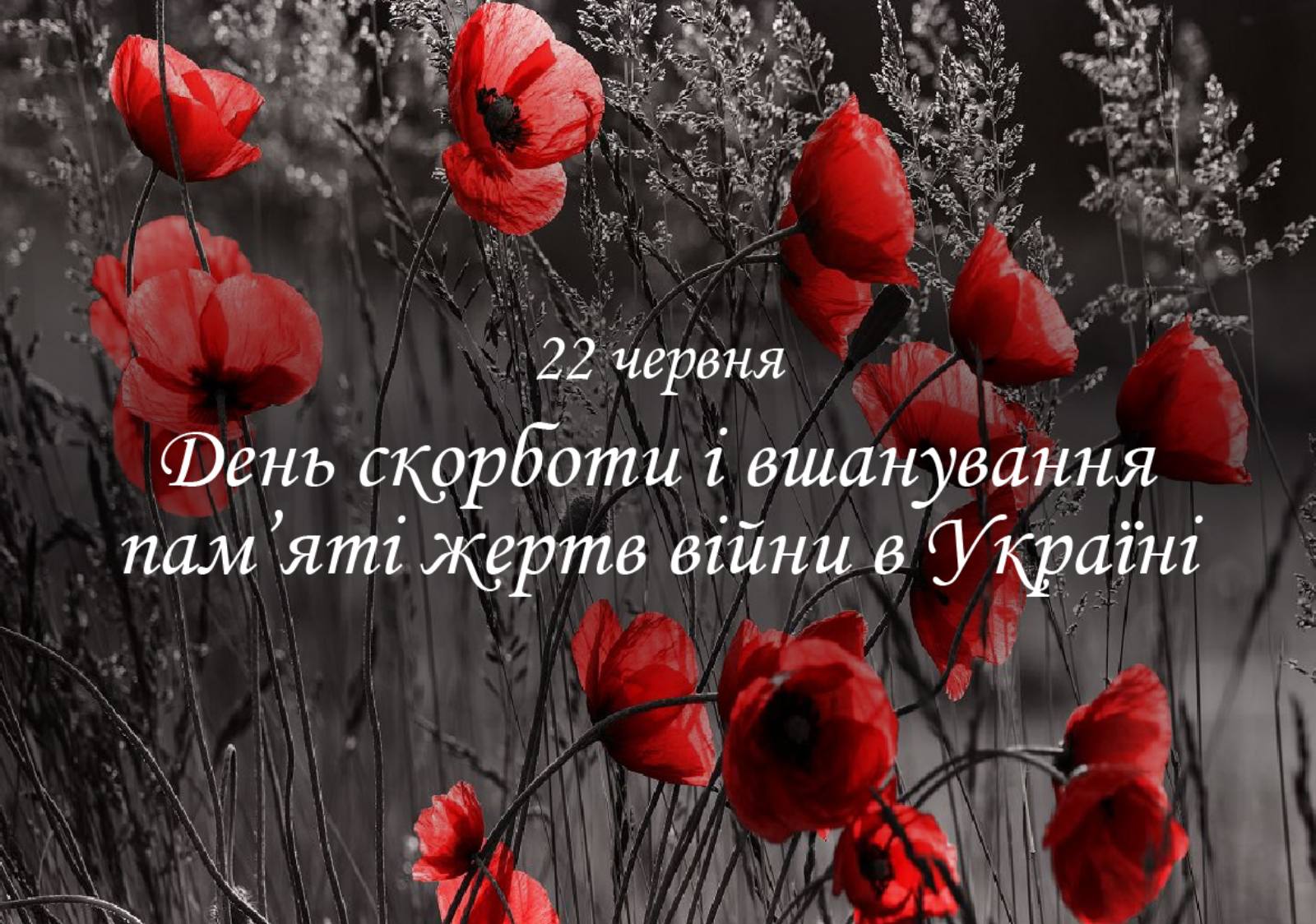 День скорботи і вшанування пам’яті жертв війни в Україні